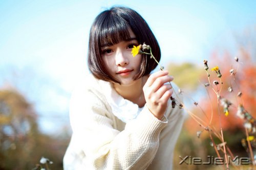 �����ӹ���ʫ���򵥶����� (4)