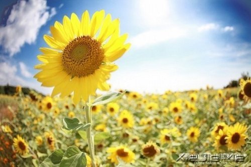 һ��һ�⣬������������������� (6)