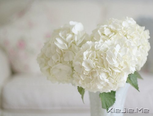 �����ӹ���ʫ���򵥶����� (2)