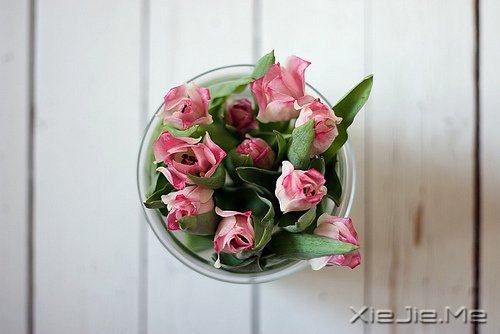 �����ӹ���ʫ���򵥶����� (7)