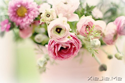 Ҫ�����Լ�����Ҫ�����Լ� (7)