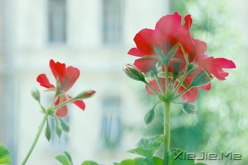 ������������ô��⣬���Լ�������һ��Ҫ���� (2)