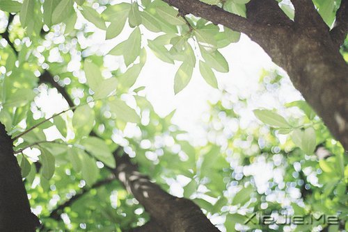 ��Щ�£�ЦЦ���ܹ�ȥ (8)