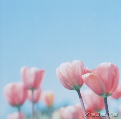 ���Լ����ˣ��Ż����˰� (1)