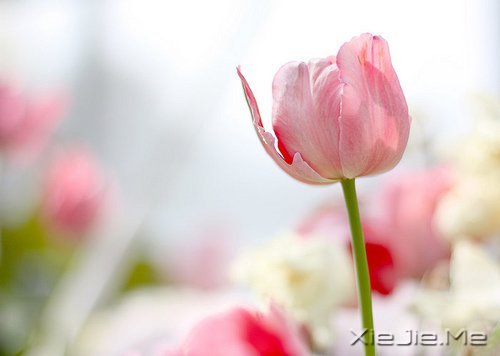 ��һ�������Լ��ĵط����������ж����������� (1)