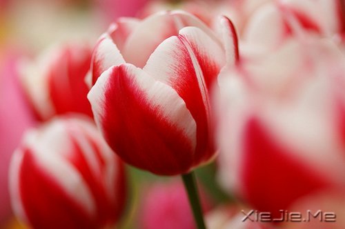 �������������Լ�һ��΢Ц (6)