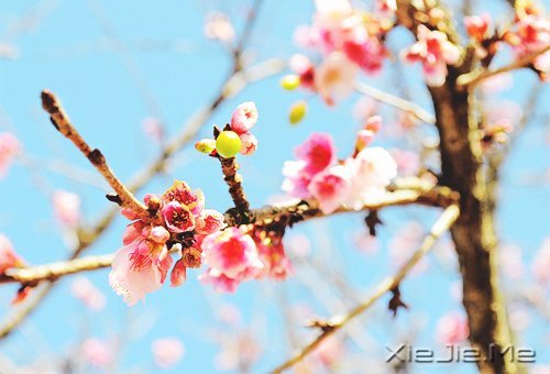 ������û��������Ȼ��ֻ���ĸ���Ը (7)