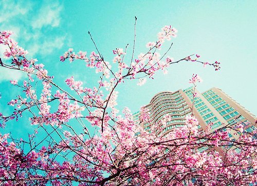 ֻҪ���Ĳ��ң����ͺ��Ѹı���ʲô (6)