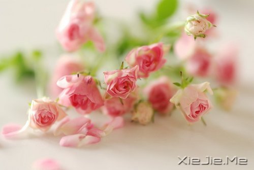 ����˥�ϵĲ������գ����ǲ��ҽ�ȡ���� (9)