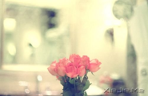 ǧ��Ҫ��Ϊ�ߵ�̫�ã�������������Ϊʲô���� (9)