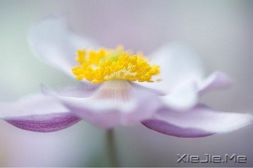 �簲�����һ�����ɣ�ȥ�������� (8)