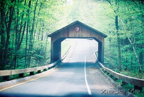 �簲�����ο���˵Ļ����վ���ο�����Լ� (4)