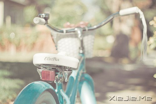 �簲��������������޹أ����Լ���ѡ���й� (4)