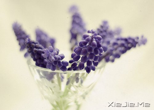 �簲�������ĺ�����ǳǳ��΢Ц (5)