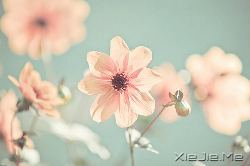 �簲�����ʰ���飬������· (5)