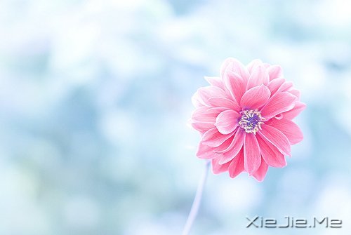 �������������ת���������¿�ʼ (2)