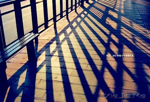 ���Լ�ϲ�������ϲ���Լ��������� (8)