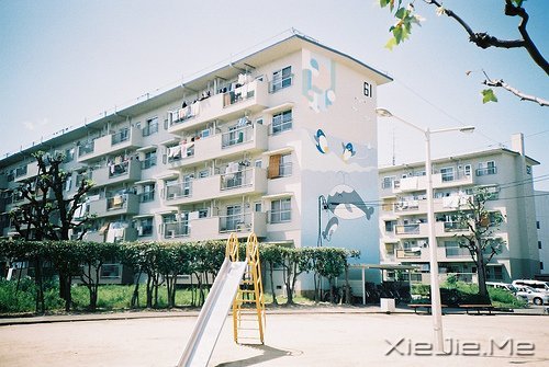 �簲������֣�����ʱ���������ʱ���� (9)