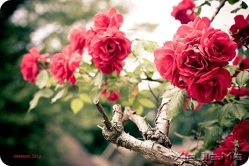 ��δ���������������ǰ�һ���׸����� (5)