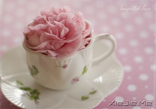 ��������ഺ������ʹ��ȴ�����޷��� (8)