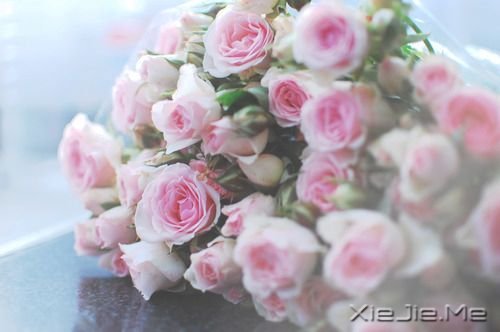 ��������������������������ȥ (2)