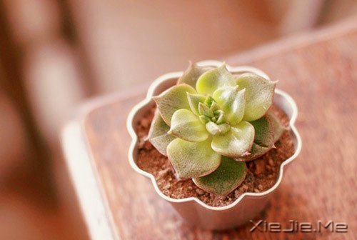 �簲�������һ��·��ͨ��ʺ���� (7)