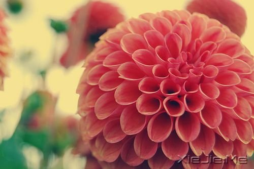 �����������ʱû�м���������Ǿ�����ͷ (4)