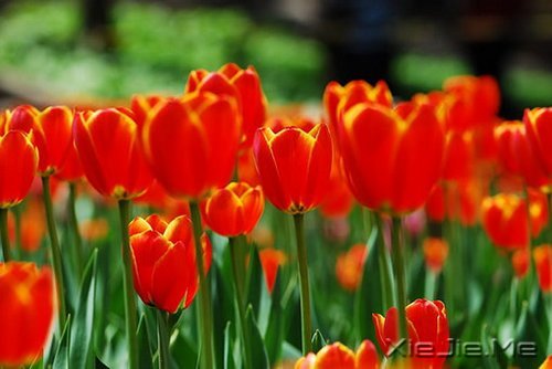 �簲�������������ߣ�Ҳ����һ�����������ͽ (5)