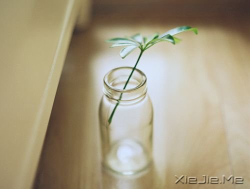 ����������Լ���һ�������� (7)