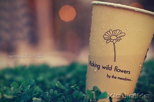 �������ֻ�����ϣ�����·�� (8)