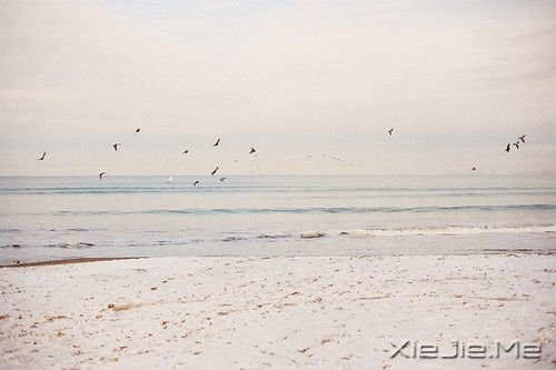 ����������ַſ�����õ�����һ�� (6)