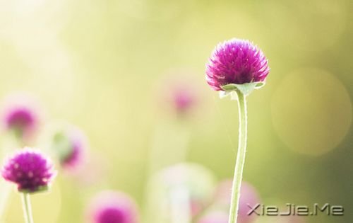 �����������һ�ο���������˲�䳤�� (8)