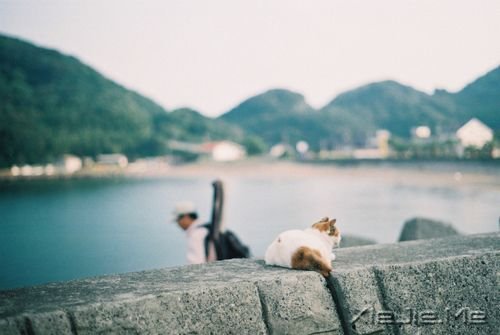 ����������Ƕ��ϵ�̫�죬ȴ���׵�̫�� (7)