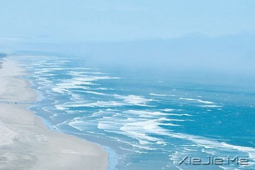 �簲���������¿࣬������ľ (2)