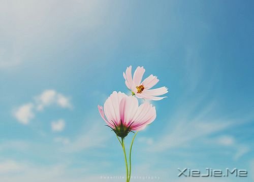 �簲����ɹ����ٶ�һ��Ҫ������ĸ��ȥ���ٶ� (4)