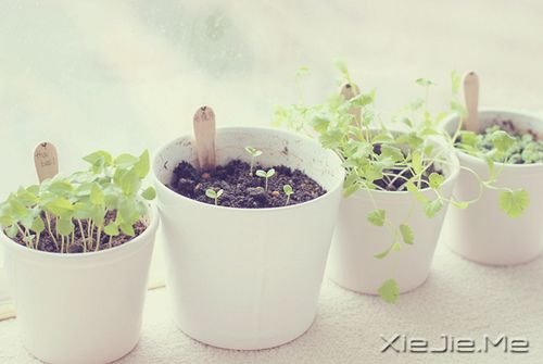 �簲��������Լ��ȶ������ˣ�����Ҫ (10)