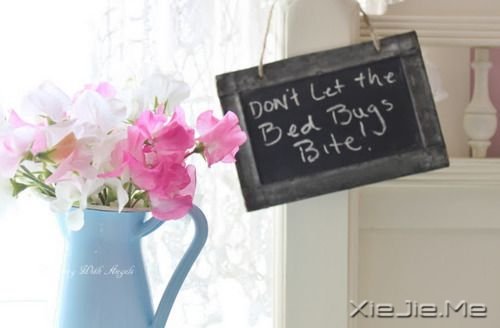 �簲�����Զ�泯���⣬��Ӱ�ͻᱻ˦������ (10)