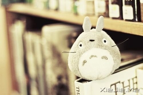 �簲���ָ���Լ�����������ת�� (8)