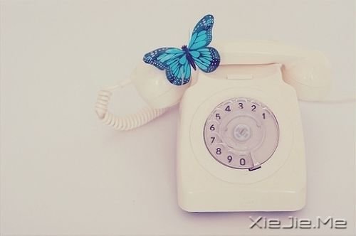 �簲���������������� (3)