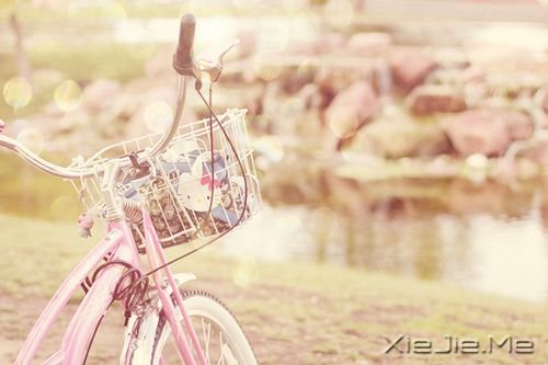 �������������Ҫ�ľ��ǣ�����Ҫ�� (2)