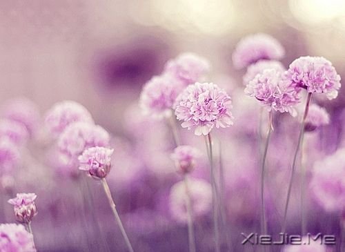 �Ҹ������õĽ����������ļ���