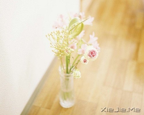 �����������Ŵ�˵