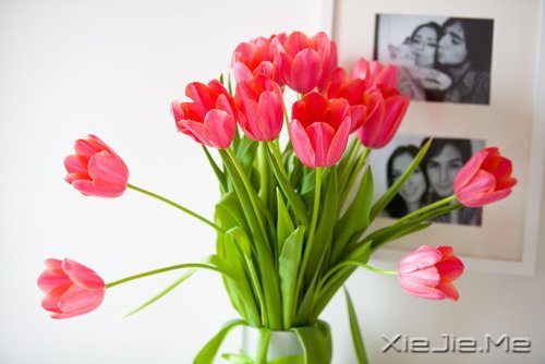 �������������������������� (4)