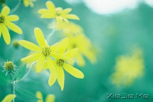 д�˽����ʣ�������һ�� (9)