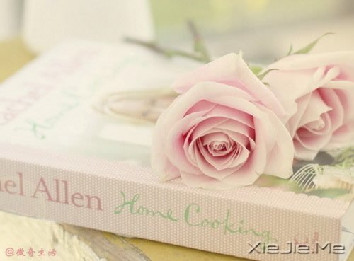 ��Ч���������17��С����