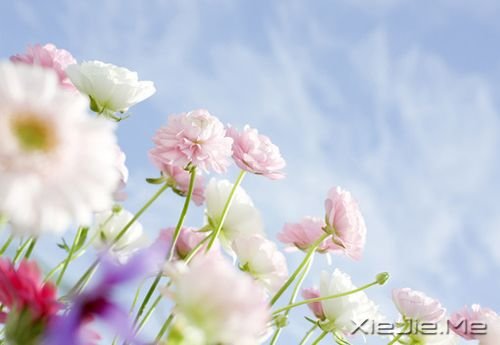 50������֮��