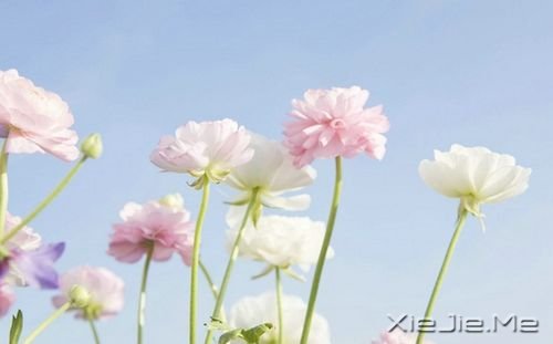 ������һ�ֵ�������� (4)